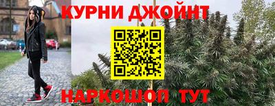 гашик Гусь-Хрустальный