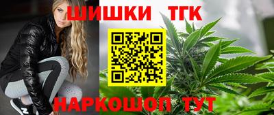 гашик Гусь-Хрустальный